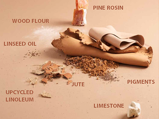 Linoleum Ingredients Infographic - what's it made from 